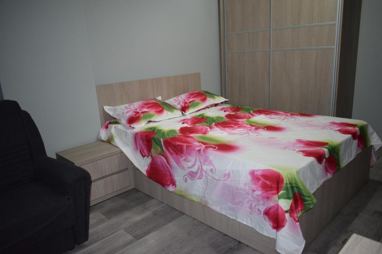Apartament Parc Central Rhbm Baia Mare Exterior foto